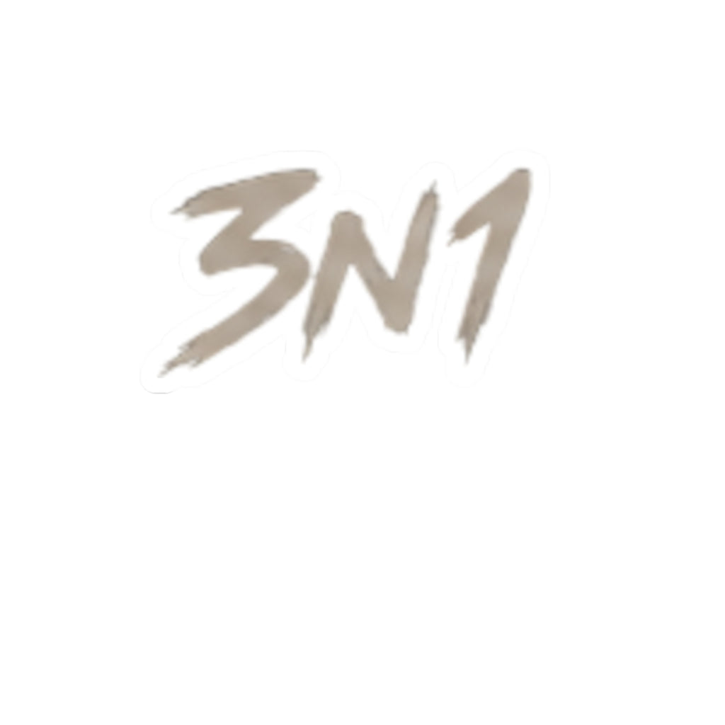 3N1 STICKER