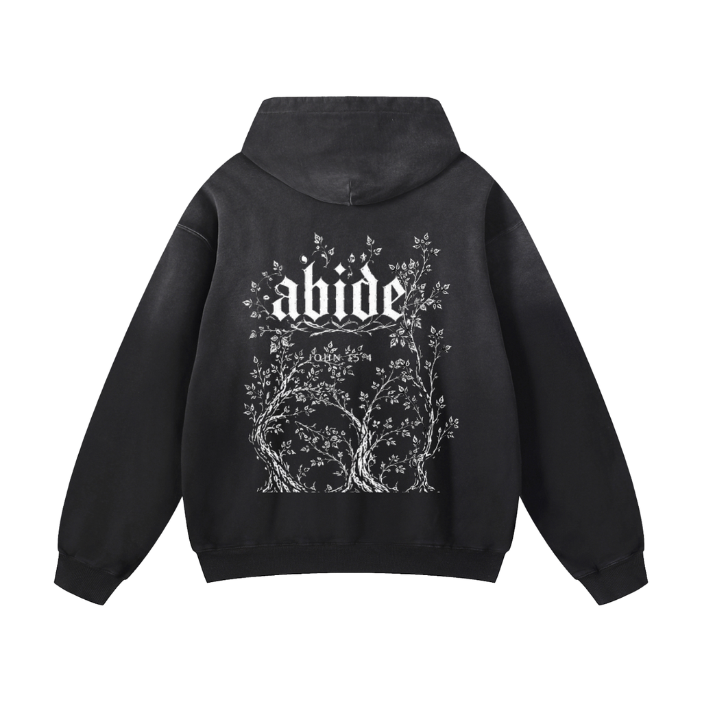 Oversized Sunfade thorn abide hoodie