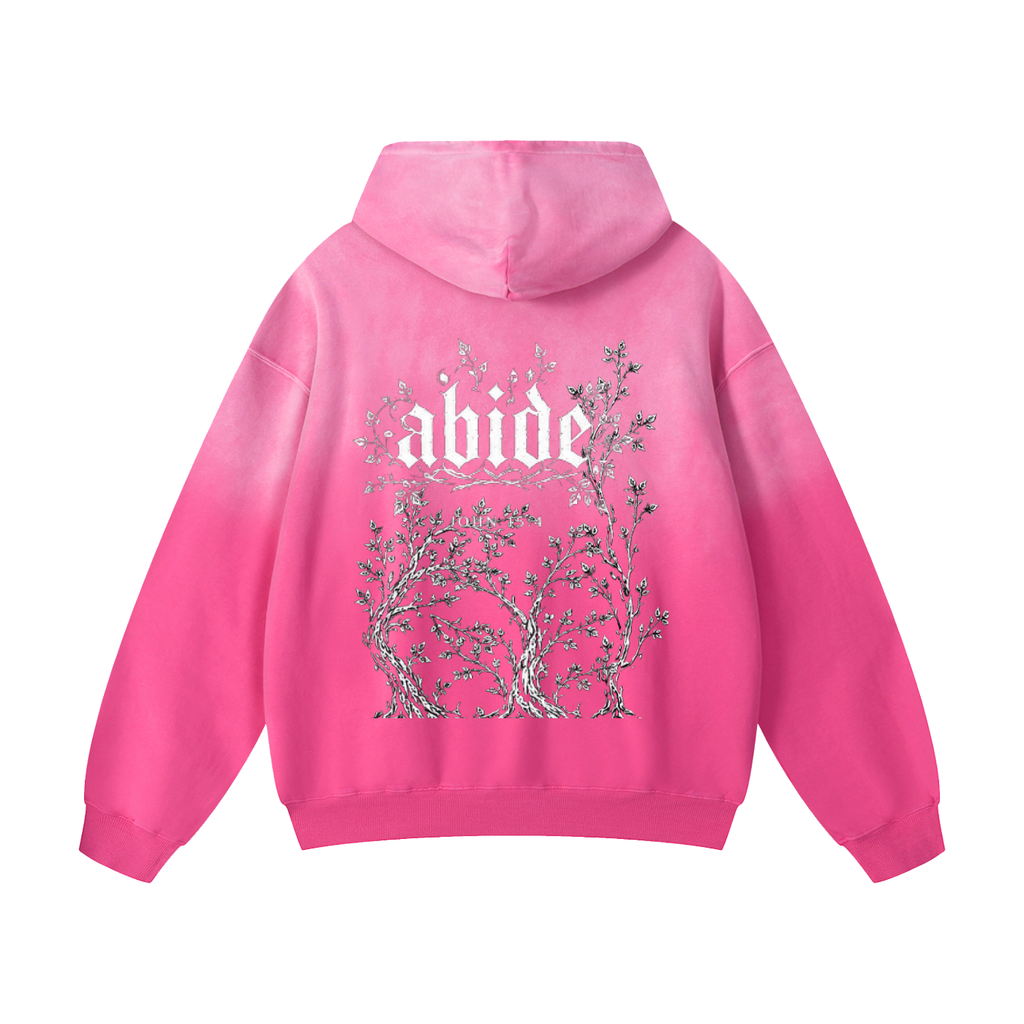 Oversized Sunfade thorn abide hoodie