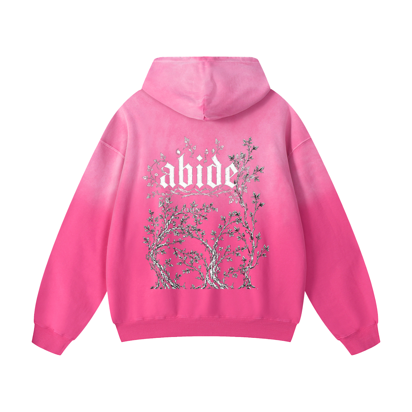 Oversized Sunfade thorn abide hoodie
