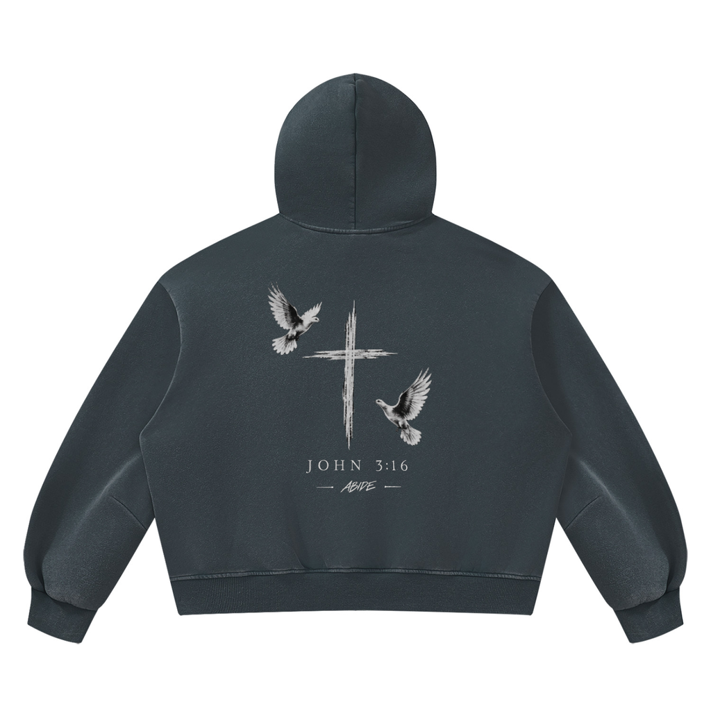 Abide Christian Hoodies (dove's edition)